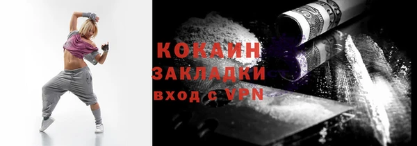 стафф Алексин