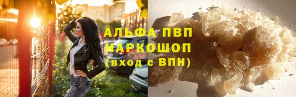 стафф Алексин