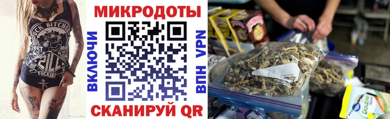 нарко площадка официальный сайт  Артём  Галлюциногенные грибы Psilocybe  блэк спрут tor 