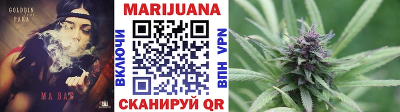 Бошки Шишки семена  где можно купить наркотик  Артём 
